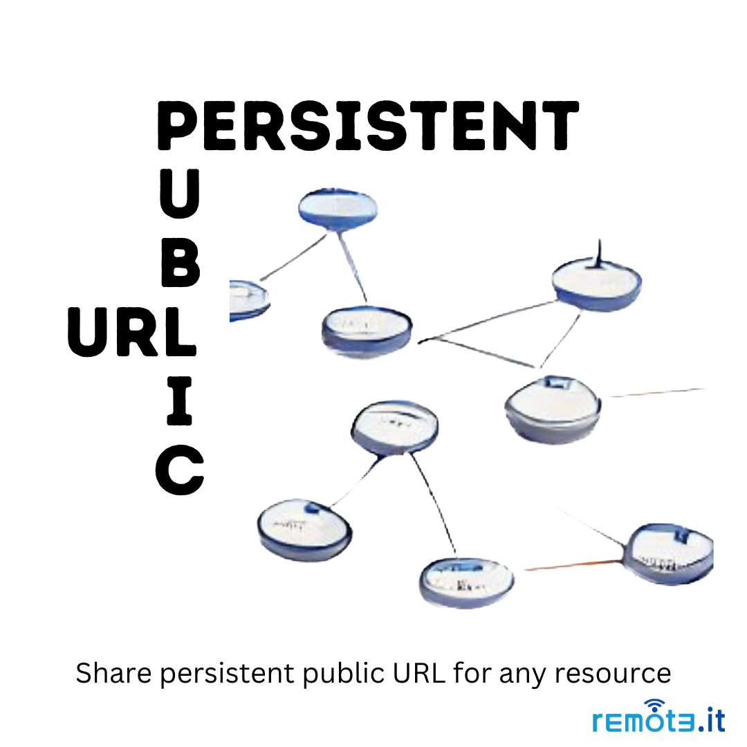 Share a static URL for HTTP/HTTPS services from anywhere, no network configurations requrieed,